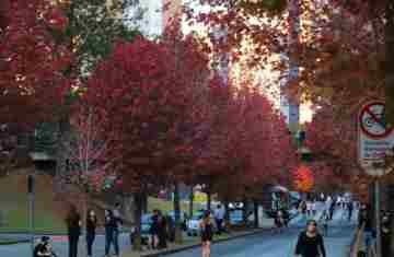  Outono começa na sexta com chuva acima da média e mais dias com amplitude térmica 
